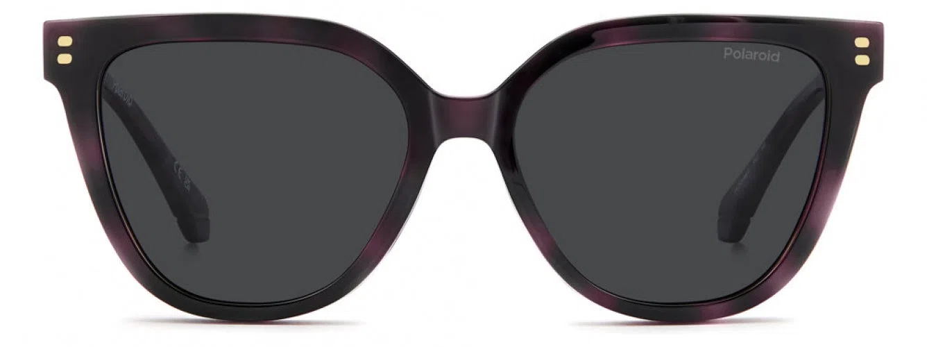 Polaroid Core PLDD596 Eyeglasses - view 2